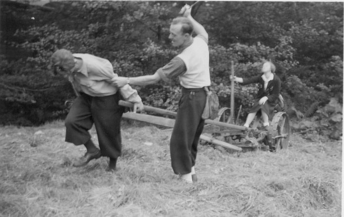 September 1939: Im Ernteeinsatz