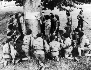 Vom Widerstand zur Revolution