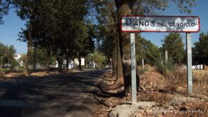 Spiegelbild der spanischen Gesellschaft