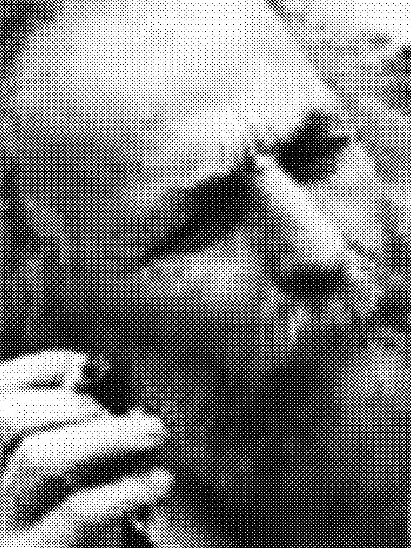 Harald Beyer-Arnesen verstarb am 11. Mai 2005 in Oslo