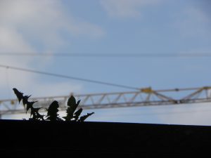 Perspektiven gewinnen: Organisierte Nachbarschaften und Föderationen Hand in Hand!