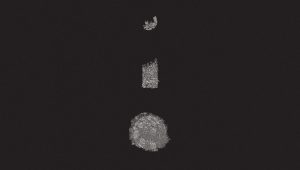 Über Drachen und Kämpfe