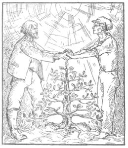 Konstruktiver Sozialismus V + VI